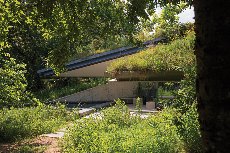 0P6A7410 EDGELAND HOUSE _ SIDE VIEW OF ROOF APEXES AND APEX POOL FRAMED BY ADJACENT TREE